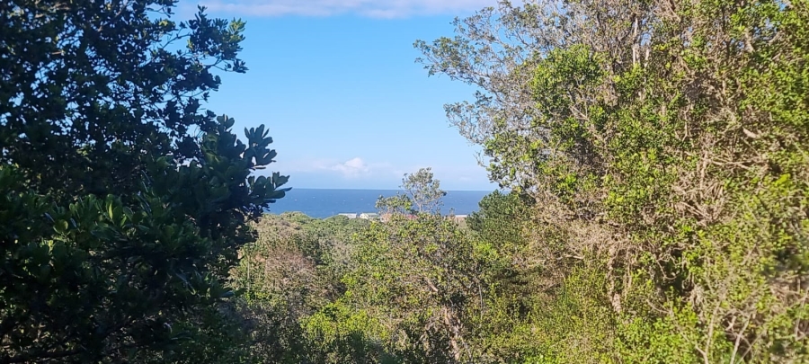Commercial Property for Sale in Langvlei Dunes Western Cape